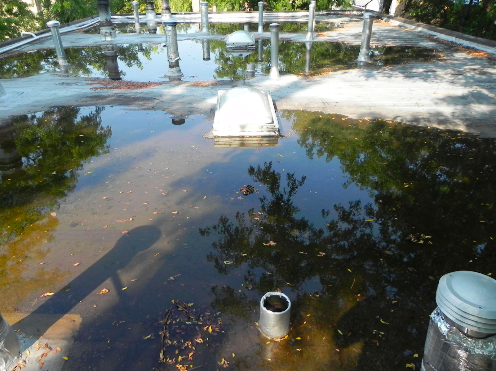 Ponding Water on Flat Commercial Roof